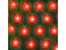 �083204 ��������������� ����� ������������� 2,4��1,8� 320�  8� ������� ���������� 440 �.jpg