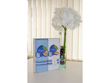 L*AVI*L*LA PE*T*EK NA*T*UR ����� 2 �� 45x70 �������