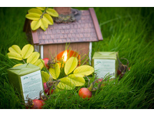 ������� ������� ���� ��� ���������� �����