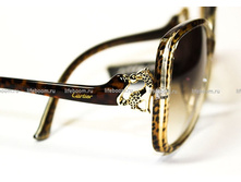 �������: OBO027