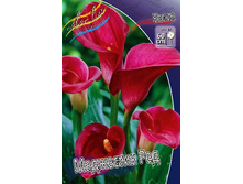 Zantedeschia Majestic Red 153,6 �. �� 3 ��..jpg