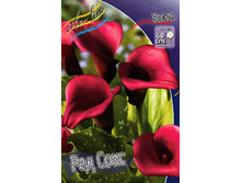 Zantedeschia Red Sox 153,6 �. �� 3 ��..jpg