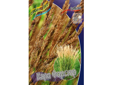 10_Calamagrostis acutiflora Karl Foerster 179,10 �. �� 3 ��..jpg