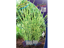 26_Miscanthus Gold Bar 407,4 �. �� 2 ��..jpg