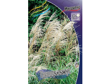 27_Miscanthus Gracillimus 215,5 �. �� 3 ��..jpg