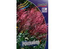 35_Miscanthus Rotsilber 215,5 �. �� 3 ��..jpg