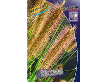 52_Pennisetum Cassian 215,5 �. �� 3 ��..jpg