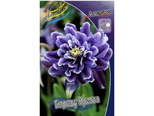 54_Aquilegia Barlow Christa 120,8 �. �� 5 ��..jpg