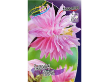 55_Aquilegia Barlow Pink 120,8 �. �� 5 ��..jpg