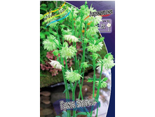 60_Aquilegia Green Apples 375,8 �. �� 5 ��..jpg