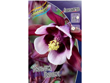 65_Aquilegia William Guiness 120,8 �. �� 5 ��..jpg