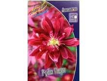 64_Aquilegia Ruby Port 120,8 �. �� 5 ��..jpg