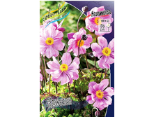 70_Anemone Crispa 215,5 �. �� 3 ��..jpg