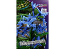 69_Amsonia Tabernemontana 230,10 �. �� 3 ��..jpg