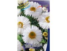 91_Aster White Ladies 266,5 �. �� 5 ��..jpg