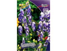 120_Aconitum Bicolor 137,8 �. �� 2 ��..jpg