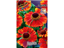 181_Helenium Chelsey 164,5 �. �� 3 ��..jpg