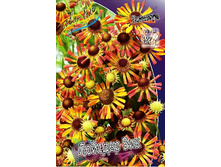 183_Helenium Loysder Wiecke 215,5 �. �� 3 ��..jpg