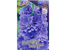 222_Delphinium Darwin's Blue Indulgence 242,2 �. �� 2 ��.jpg