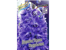 224_Delphinium Darwin's Purple Indulgence 242,2 �. �� 2 ��.jpg