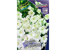 225_Delphinium Delphi's Diamant 230,10 �. �� 2 ��.jpg