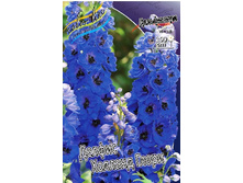 226_Delphinium Delphi's Holland's Glorie 230,10 �. �� 2 ��.jpg