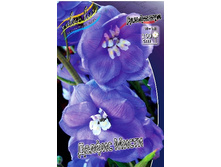 228_Delphinium Delphi's Misty 230,10 �. �� 2 ��.jpg