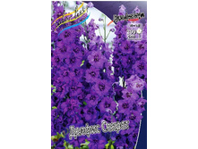 231_Delphinium Delphi's Secret 230,10 �. �� 2 ��.jpg