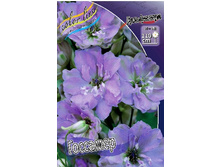235_Delphinium Gossamer 230,10 �. �� 2 ��.jpg