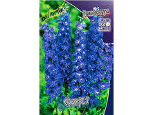 233_Delphinium Faust 230,10 �. �� 2 ��.jpg