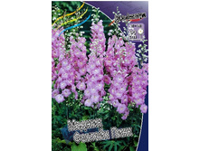 242_Delphinium Magic Fountain Pink 113,5  �. �� 2 ��.jpg