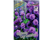 240_Delphinium Highlander Sweet Sensation 193,7 �. �� 1 ��.jpg