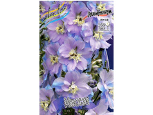 252_Delphinium Yvonne 230,10 �. �� 2 ��.jpg