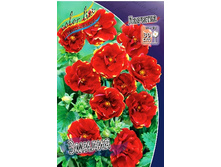 378_Potentilla Emilie 211,9 �. �� 3 ��.jpg