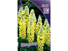 399_Lupinus Chandelier 113,5 �. �� 5 ��.jpg