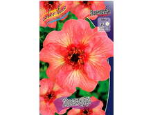 381_Potentilla Hopwoodiana 211,9 �. �� 3 ��.jpg