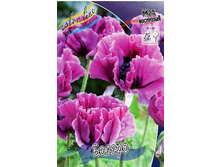 411_Papaver Bolero 205,8 �. �� 2 ��.jpg