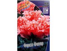 419_Papaver Fancy Feathers 232,5 �. �� 2 ��.jpg