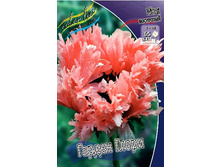 421_Papaver Garden Glory 147,5 �. �� 2 ��.jpg
