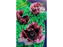 427_Papaver Pattys Plum 205,3 �. �� 2 ��.jpg