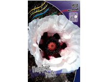 428_Papaver Perrys White 147,5 �. �� 2 ��.jpg