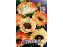 429_Papaver Picotee 169,4 �. �� 2 ��.jpg