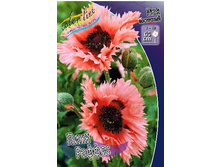 430_Papaver Pink Ruffles 232,5 �. �� 2 ��.jpg