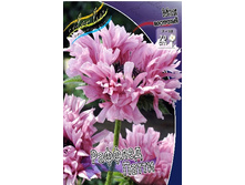 433_Papaver Ruffled Patty 232,5 �. �� 2 ��.jpg