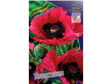 435_Papaver Watermelon 181,5 �. �� 2 ��.jpg