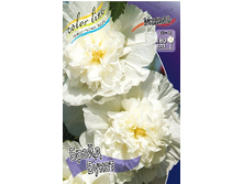 439_Alcaea Bride Bouquet 241�. �� 3 ��.jpg