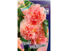 443_Alcaea Peaches 'n Dreams 241 �. �� 3 ��.jpg