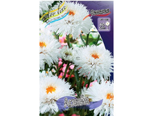 478_Leucanthemum Aglaia 303 �. �� 3 ��.jpg