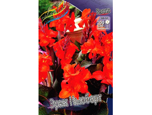 Canna (brown) Eric Newbert 103,3 �. �� 2 ��.jpg