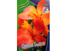 Canna (green) Orange Beauty  103,3 �. �� 2 ��.jpg